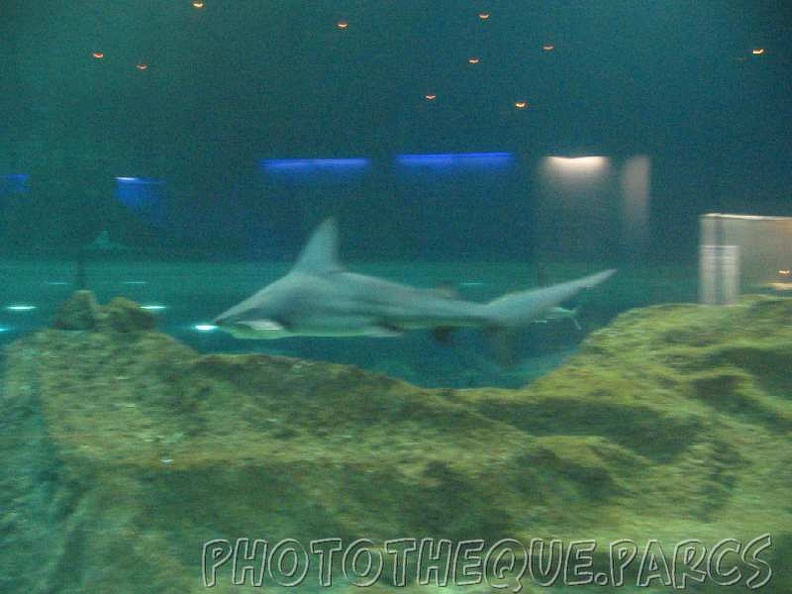 marineland_2005_2047.jpg