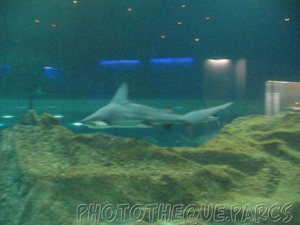 marineland 2005 2047