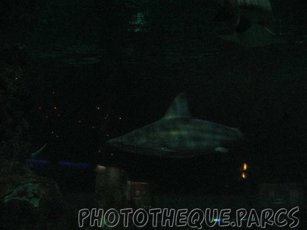 marineland 2005 2050