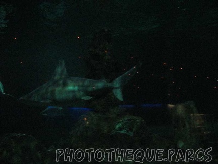 marineland 2005 2051