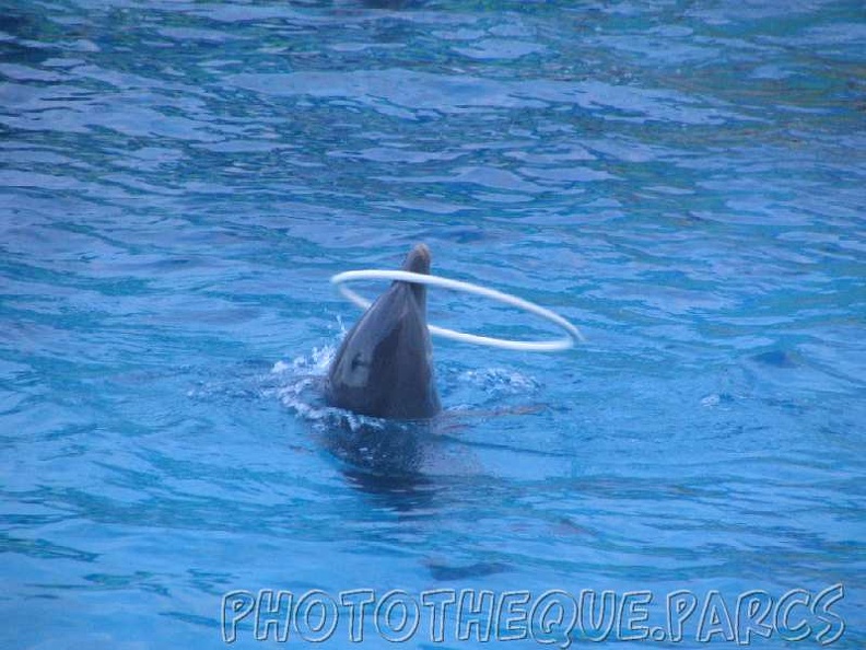 marineland 2005 2002