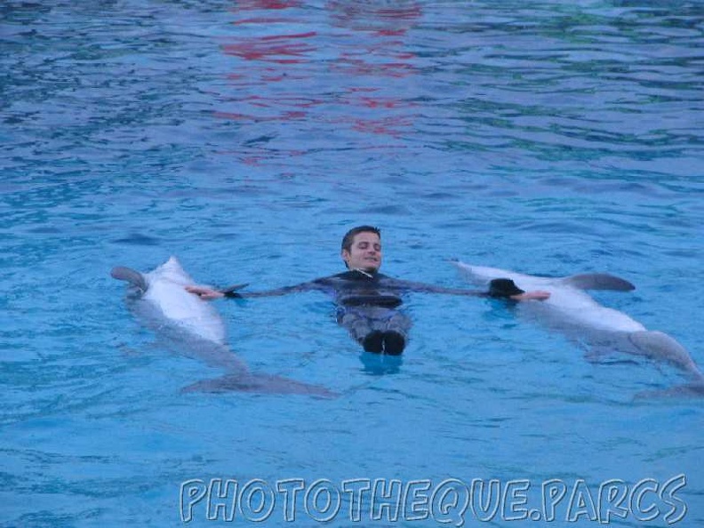 marineland_2005_2004.jpg