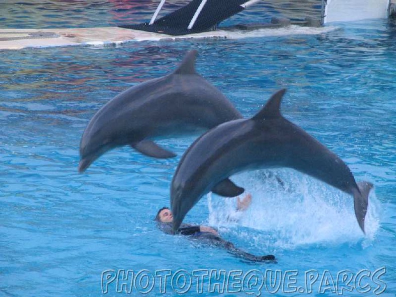 marineland_2005_2007.jpg