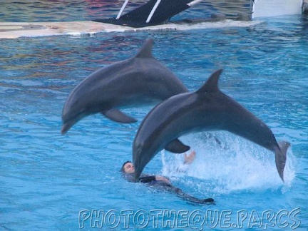 marineland 2005 2007