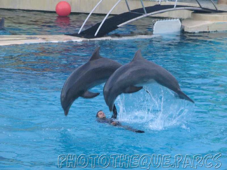 marineland_2005_2008.jpg