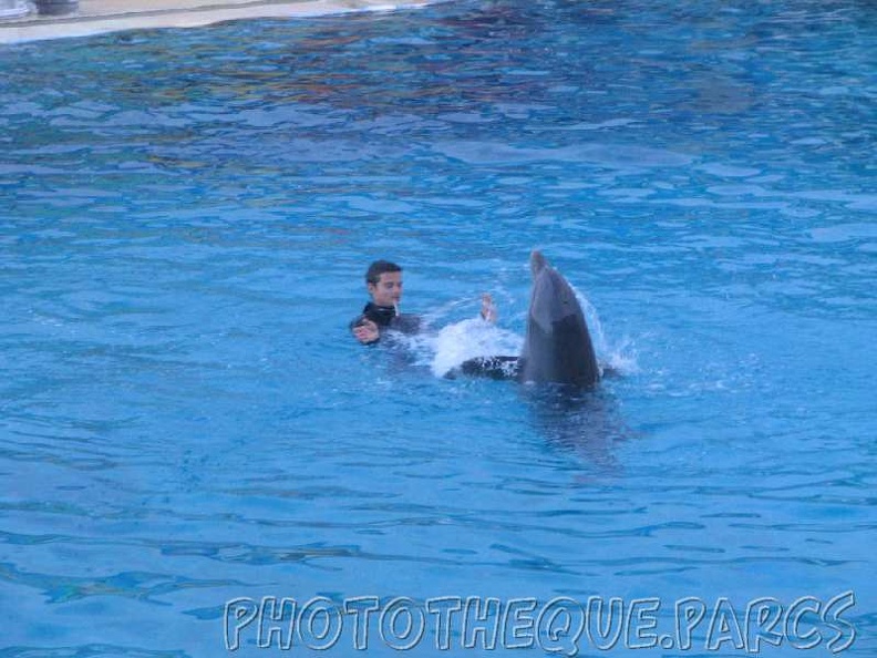 marineland 2005 2009