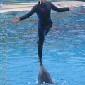 marineland 2005 2010