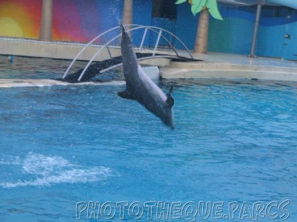 marineland 2005 2014