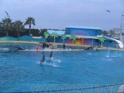 marineland 2005 2019