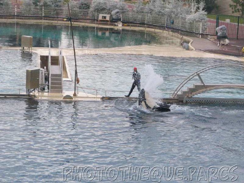 marineland 2005 1923