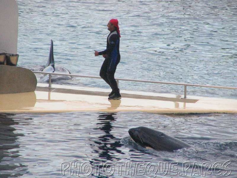 marineland_2005_1924.jpg