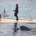 marineland_2005_1924.jpg