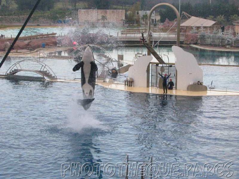 marineland 2005 1925