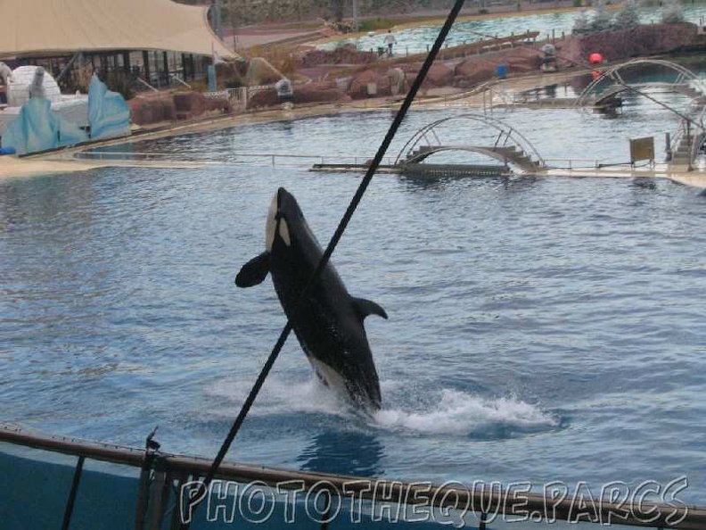 marineland 2005 1926