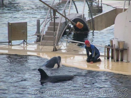 marineland 2005 1927