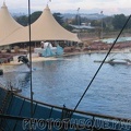 marineland_2005_1928.jpg