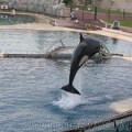 marineland 2005 1929