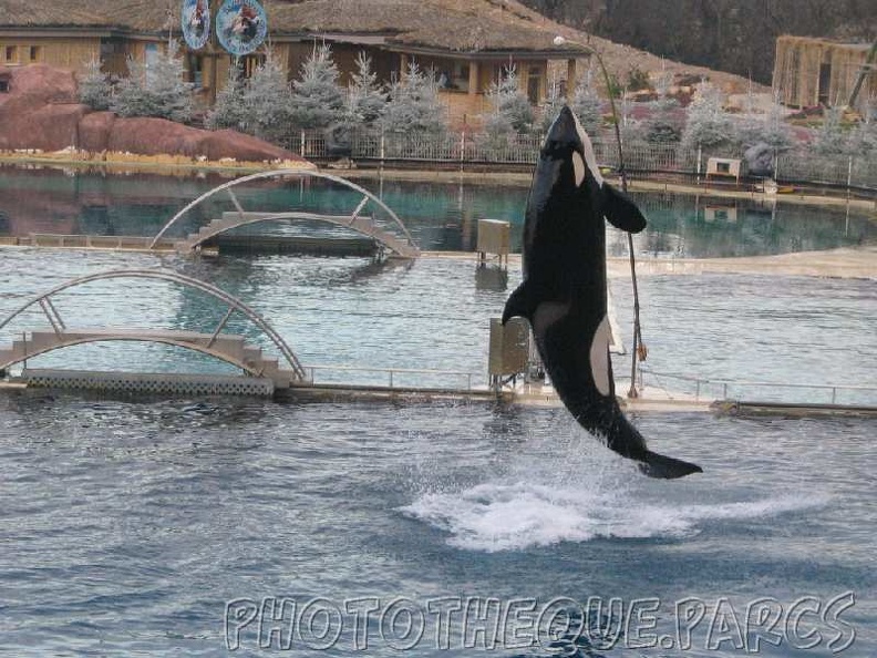 marineland 2005 1930