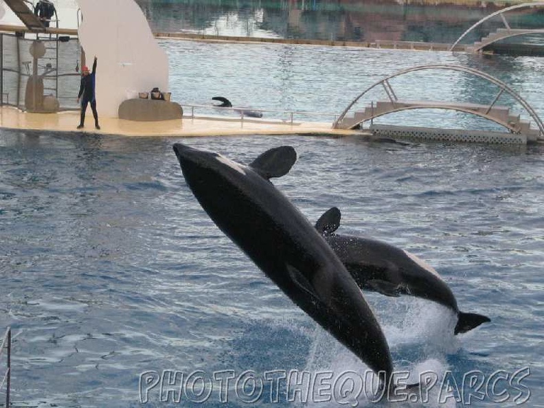 marineland_2005_1931.jpg