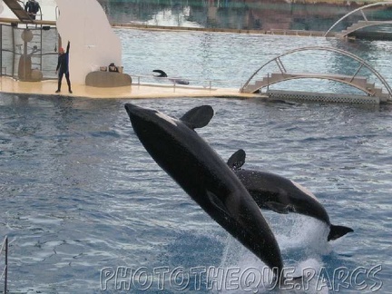 marineland 2005 1931