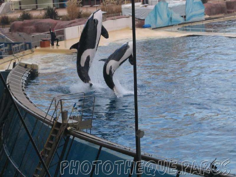 marineland 2005 1932