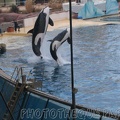 marineland 2005 1932