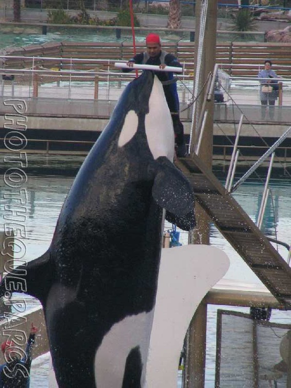 marineland 2005 1933