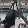 marineland_2005_1933.jpg