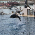 marineland 2005 1934