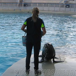 Marineland - Otaries - Deborah et Anna