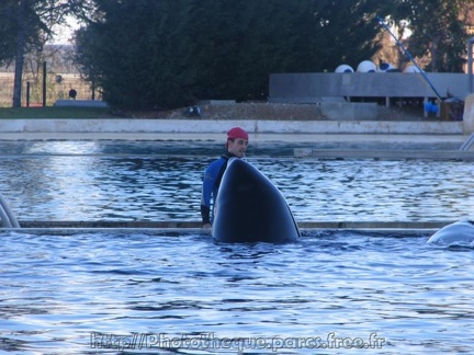 Marineland Antibes - 001