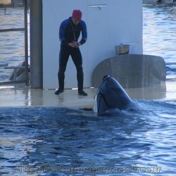01 - Marineland - 02 Janvier 2006