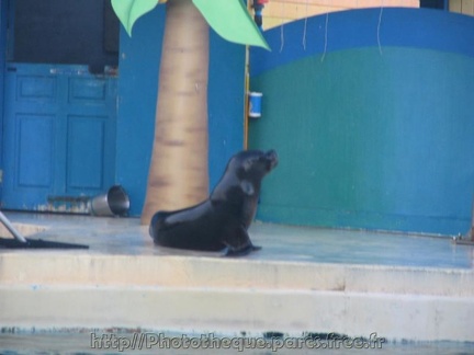 Marineland Antibes - 001