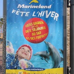 Marineland - Affiches