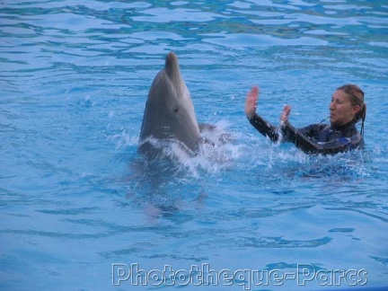 Marineland Antibes - 001