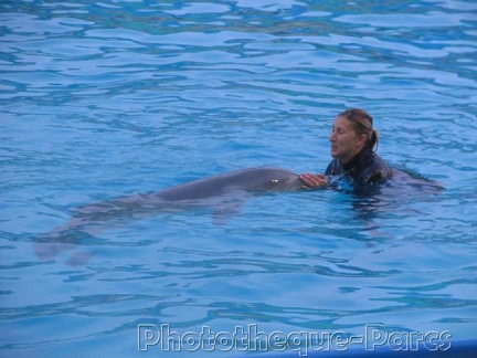 Marineland Antibes - 002