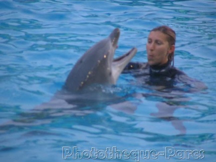 Marineland Antibes - 003