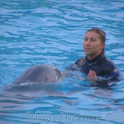 Marineland - Dauphins - Deborah et kaly