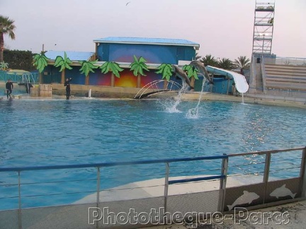 Marineland Antibes - 003