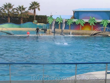 Marineland Antibes - 005