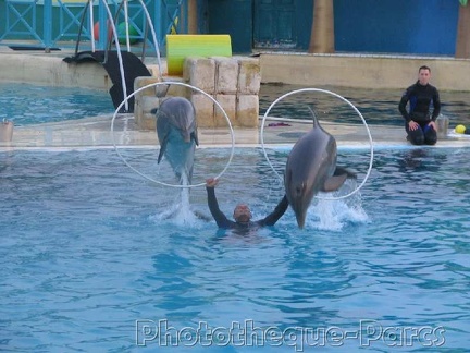 Marineland Antibes - 007