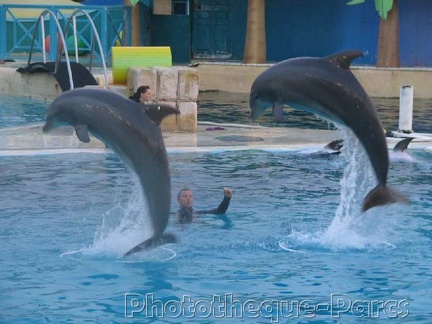 Marineland Antibes - 008