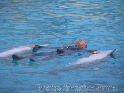 Marineland Antibes - 011