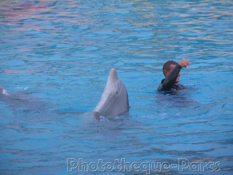 Marineland Antibes - 012