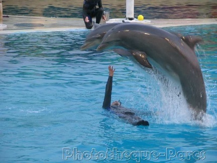 Marineland Antibes - 014