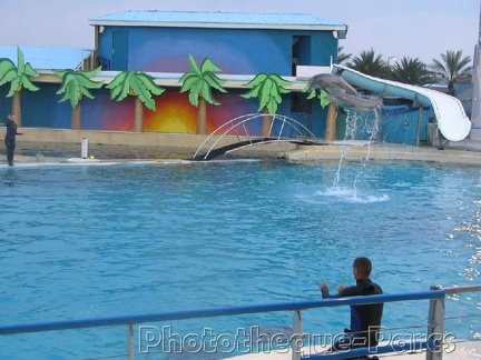 Marineland Antibes - 017