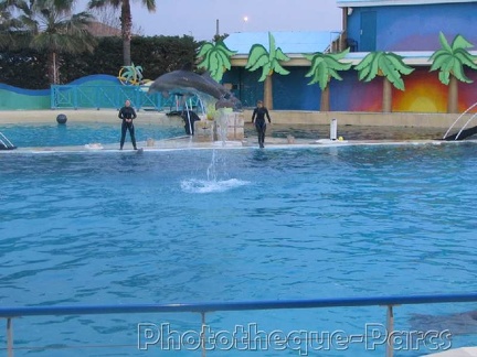 Marineland Antibes - 018