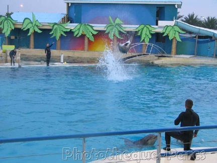 Marineland Antibes - 020