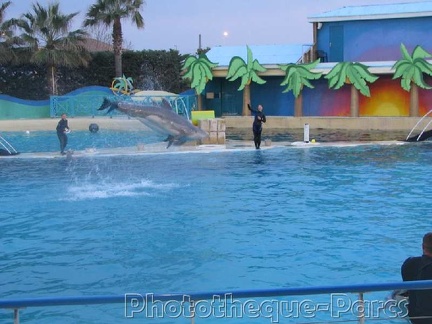 Marineland Antibes - 022