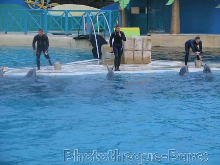 Marineland Antibes - 024